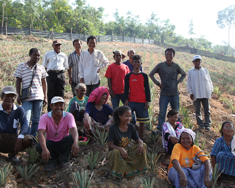 Rompine Farm